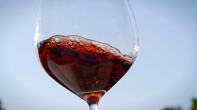 Milovníci vína - Piemont - Photos