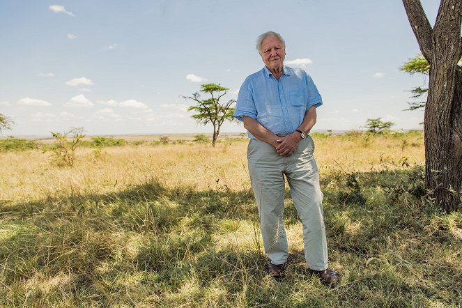 David Attenborough: Mein Leben auf unserem Planeten - Werbefoto - David Attenborough