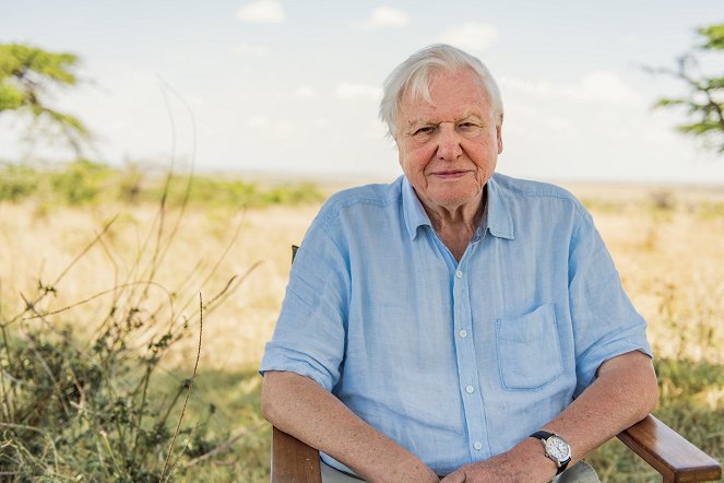 David Attenborough: Elämä planeetallamme - Promokuvat - David Attenborough