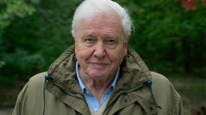 David Attenborough: Egy élet a bolygónkon - Promóció fotók - David Attenborough