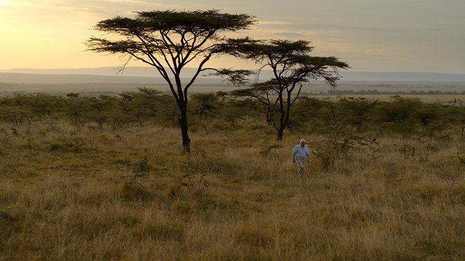 David Attenborough: A Life on Our Planet - Van film
