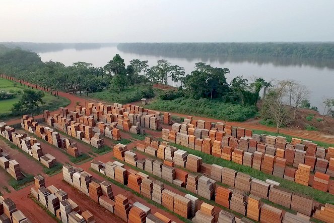 À la reconquête des forêts - Congo, un nouveau pacte avec la forêt - De filmes