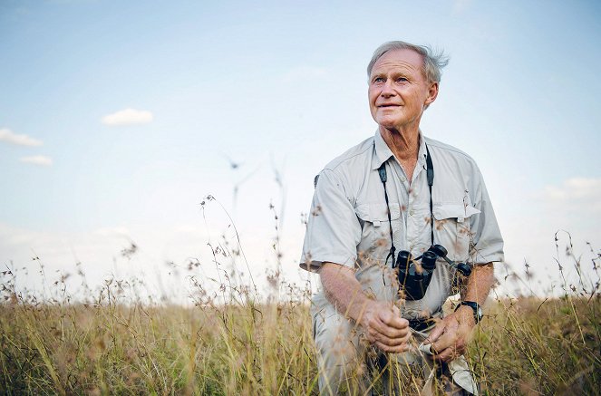 The Serengeti Rules – Die Macht des Gleichgewichts - Filmfotos
