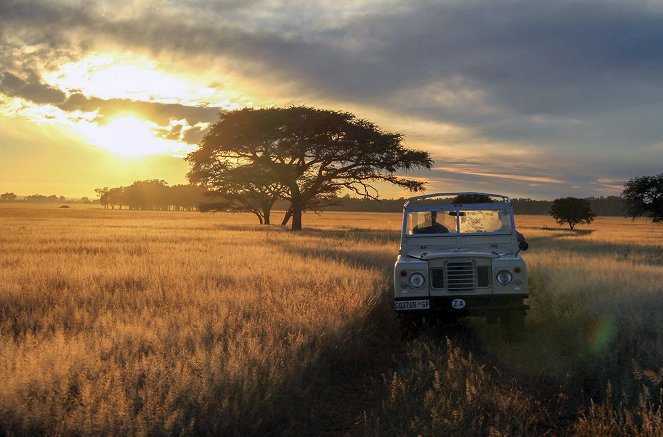 The Serengeti Rules - Van film