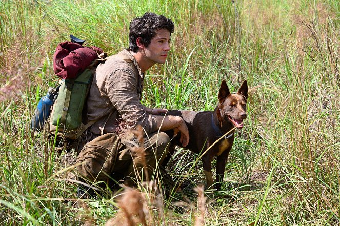 Love and Monsters - Filmfotos - Dylan O'Brien