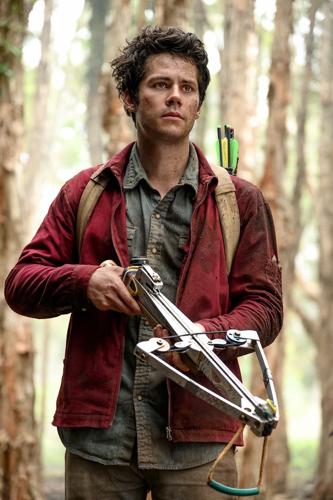 Love and Monsters - Filmfotos - Dylan O'Brien