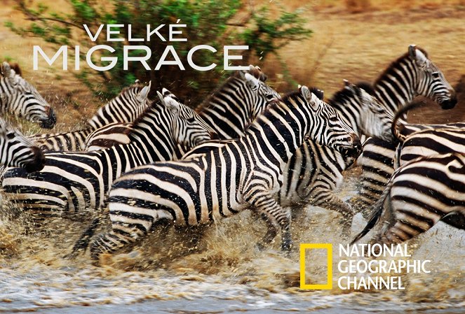 Great Migrations - Das große Wunder der Tierwanderungen - Werbefoto