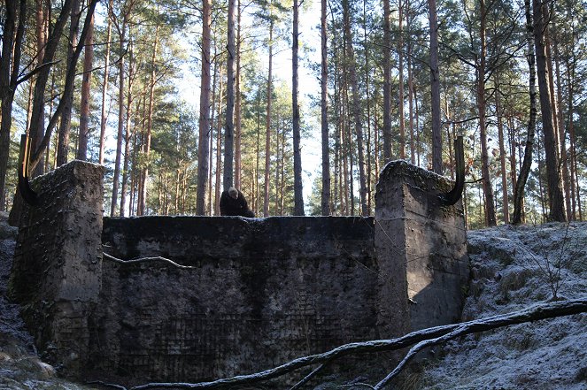 Natsien jättimäiset rakennusurakat - The Battle of Kursk - Kuvat elokuvasta