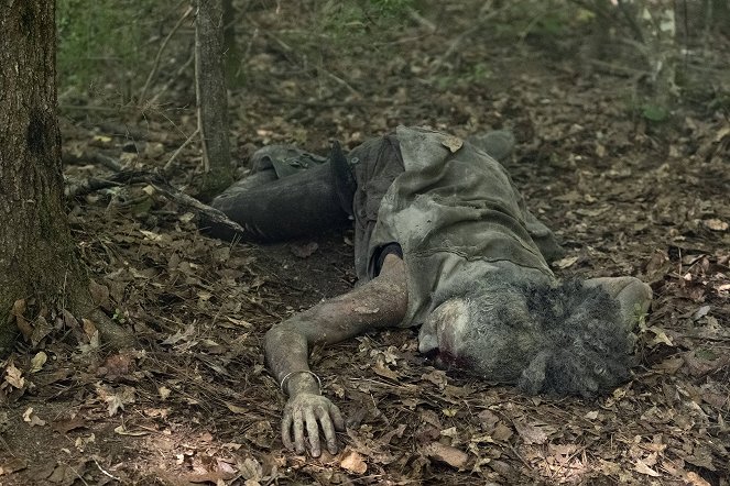 Walking Dead - Istá záhuba - Z filmu