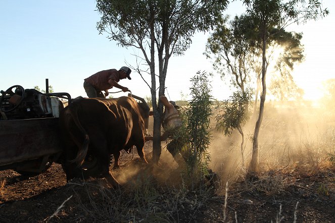 Australian häränmetsästäjät - Kuvat elokuvasta