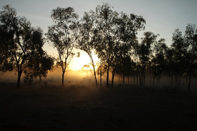 Australijscy łowcy bydła - Z filmu