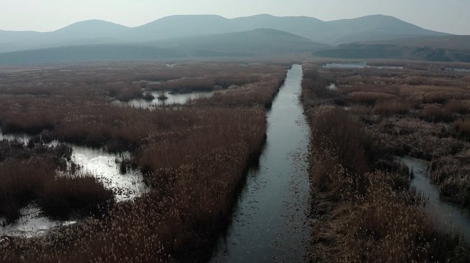 A Duna - Árral szemben - Do filme