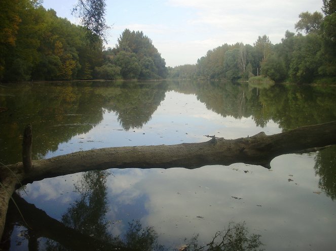 The Danube: Against The Flow - Photos