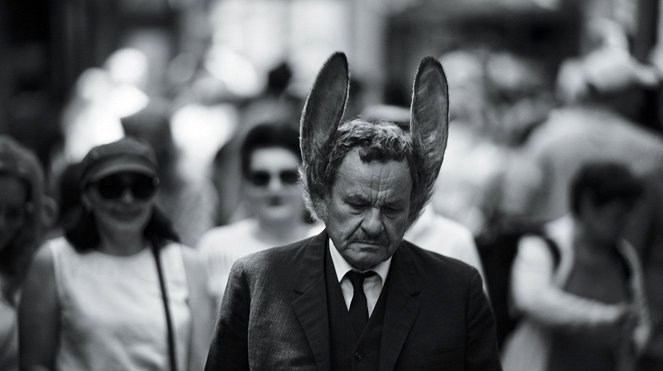 Muž so zajačími ušami - Forgatási fotók - Miroslav Krobot