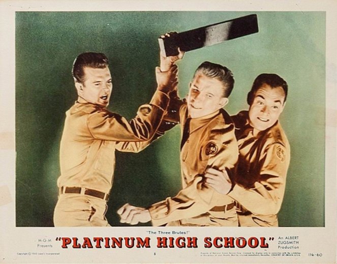 Platinum High School - Vitrinfotók