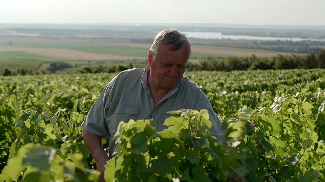 Milovníci vína - Bordeaux - Cuveé - Van film