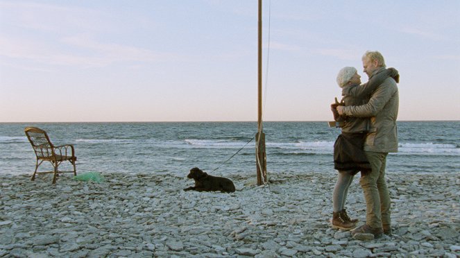 Labrador - Kuvat elokuvasta