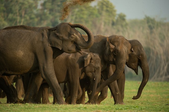 Wild Karnataka - Filmfotos
