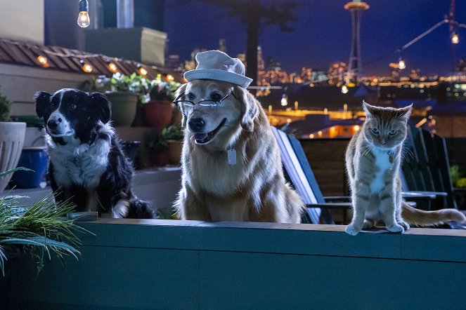 Cats & Dogs 3: Paws Unite - Van film
