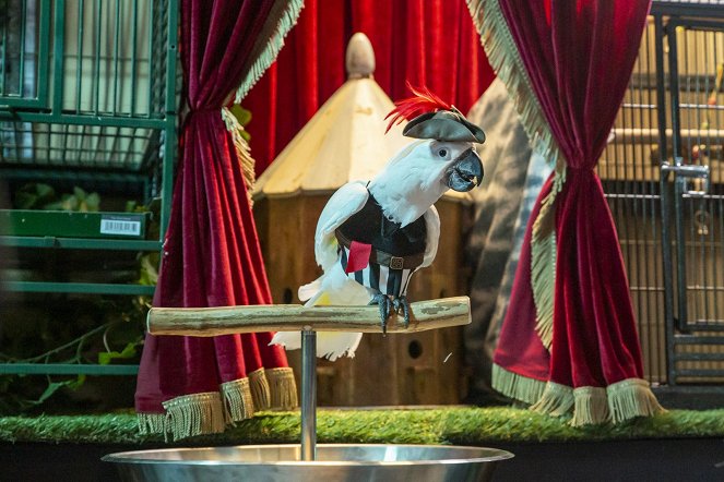 Cats & Dogs 3: Pfoten vereint! - Filmfotos