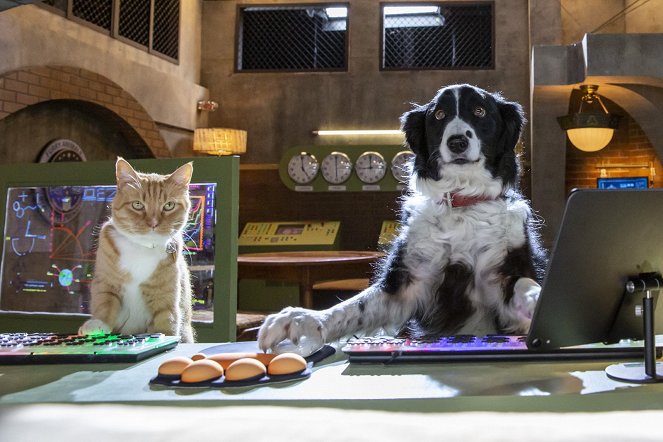 Como Perros y Gatos: La Patrulla Unida - De la película