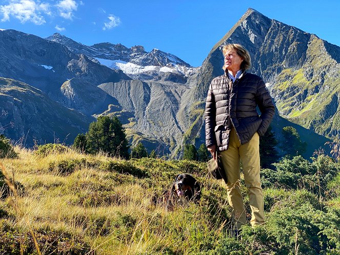 Hansi Hinterseer: Tuxertal - Bergparadies in den Zillertaler Alpen - Film - Hansi Hinterseer