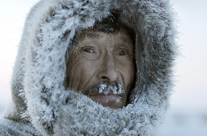 Coup de chaud pour les rennes de Sibérie - Film