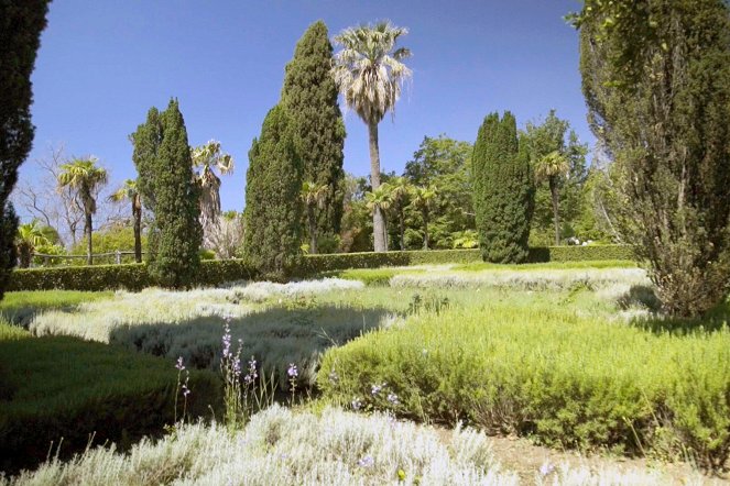 Jardins d'ici et d'ailleurs - Season 3 - Arboretum de Trsteno - Film