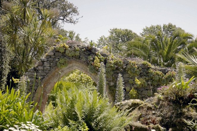 Amazing Gardens - Tresco Abbey - Photos