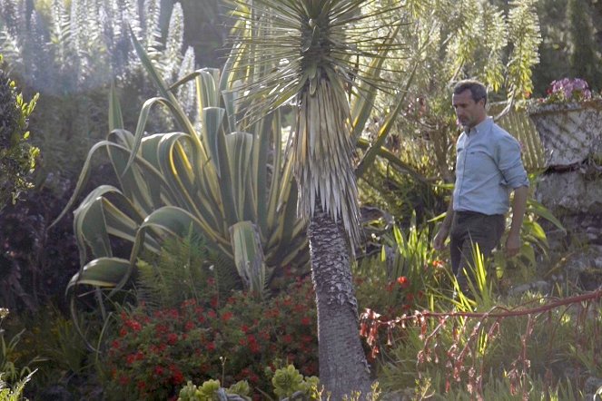Jardins d'ici et d'ailleurs - Season 3 - Tresco Abbey - Filmfotók