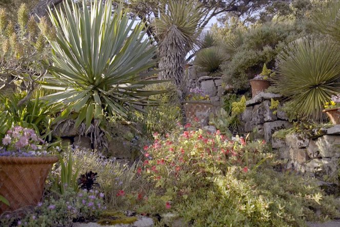 Jardins d'ici et d'ailleurs - Tresco Abbey - Film