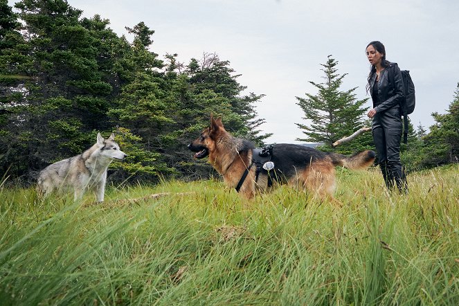 Hudson & Rex - Ein Männlein stirbt im Walde - Filmfotos - Hund Diesel vom Burgimwald, Gia Sandhu