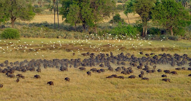 Afrika z výšky - Botswana: Okavango to Kwando - Z filmu