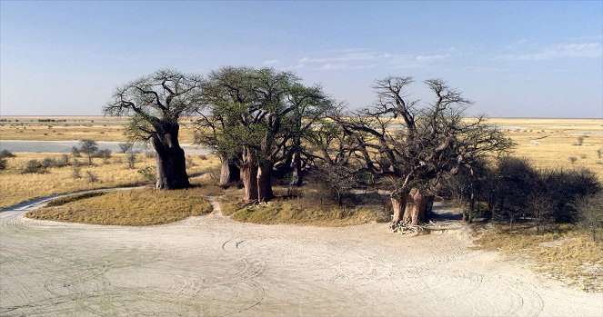 Afrikka ilmasta nähtynä - Botswana: Okavango to Kwando - Kuvat elokuvasta