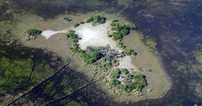 Aerial Africa - Botswana: Okavango to Kwando - Filmfotos