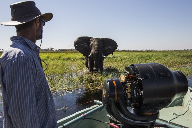 The Flood: Africa’s Okavango - Film