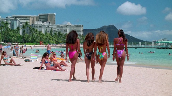 Los vigilantes de la playa - Season 10 - Big Island Heat - De la película
