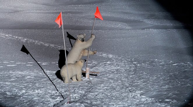 Egy év a sarkvidéki télben - Filmfotók