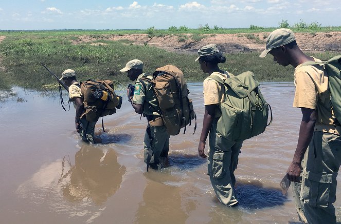 On the Front Line: Rangers of Gorongosa National Park - Filmfotos