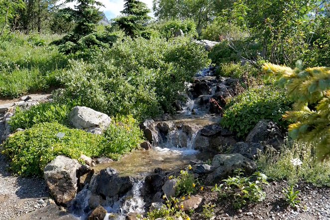 Magische Gärten - Botanischer Garten von Lautaret - Filmfotos