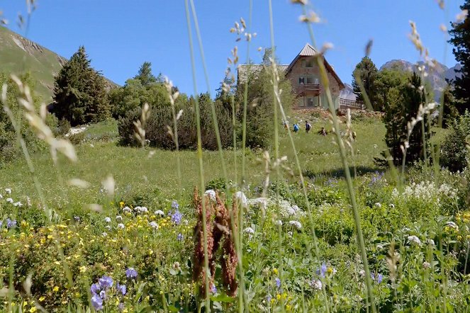 Jardins d'ici et d'ailleurs - Jardin alpin du Lautaret - Film