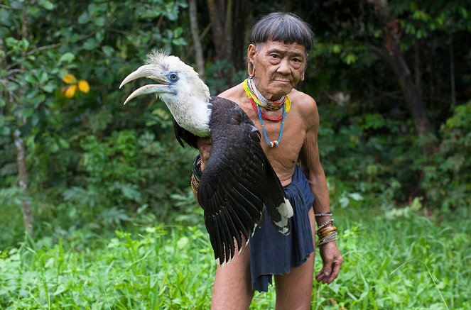 Borneo Death Blow - Photos