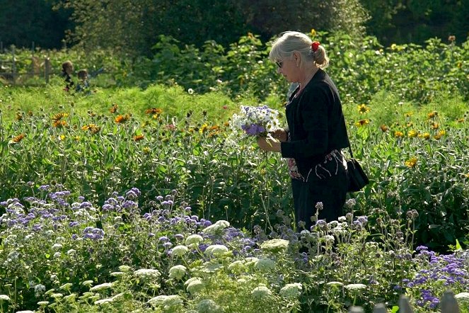 Jardins d'ici et d'ailleurs - Rosendal - De la película