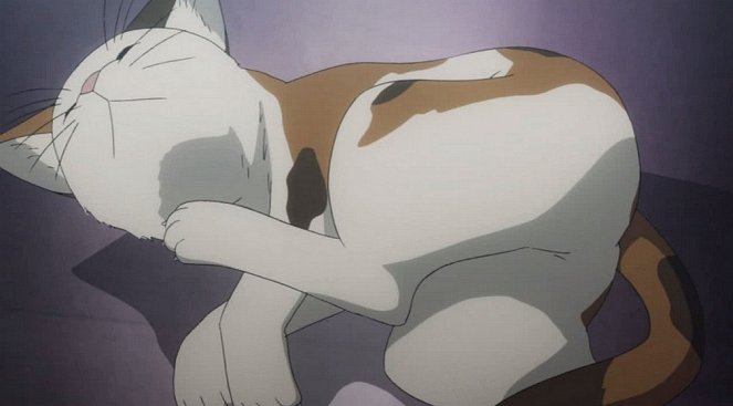 Toaru madžucu no Index - Mikoto Misaka - Z filmu