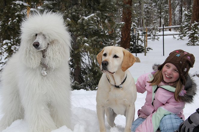 Ein Hund rettet die Weihnachtsferien - Filmfotos