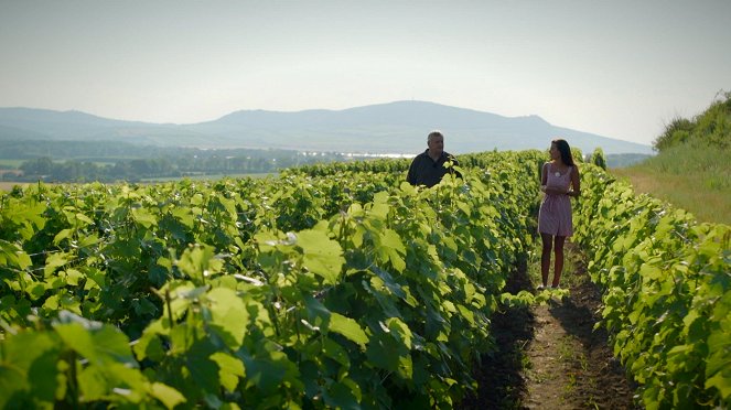 Milovníci vína - Série 1 - Morava - Kuvat elokuvasta