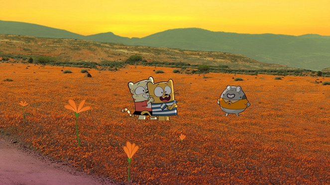 The Ollie & Moon Show - Season 1 - A Surprise in South Africa - Photos