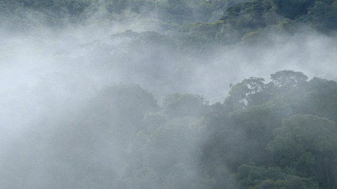 Medizin in fernen Ländern - Guayana – Tropenmedizin auf dem Maroni - Filmfotos