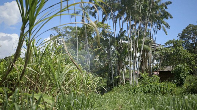 Medizin in fernen Ländern - Season 3 - Guayana – Tropenmedizin auf dem Maroni - Filmfotos