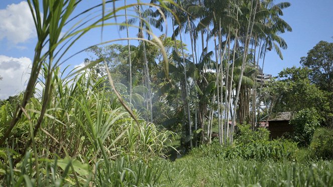 Médecines d'ailleurs - Season 3 - Guyane – Médecine tropicale sur le Maroni - De la película